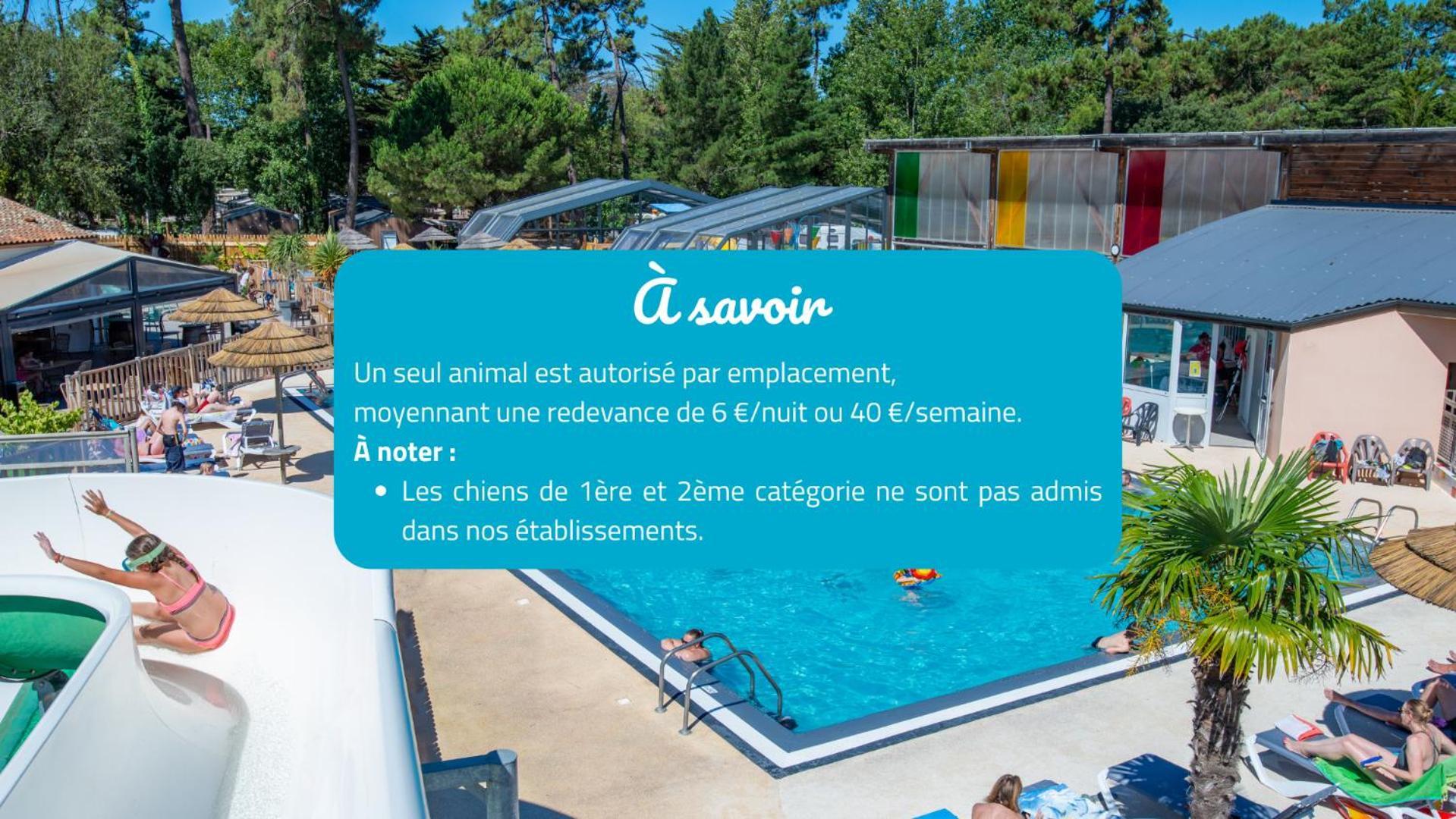 Camping Signol Boyardville Εξωτερικό φωτογραφία
