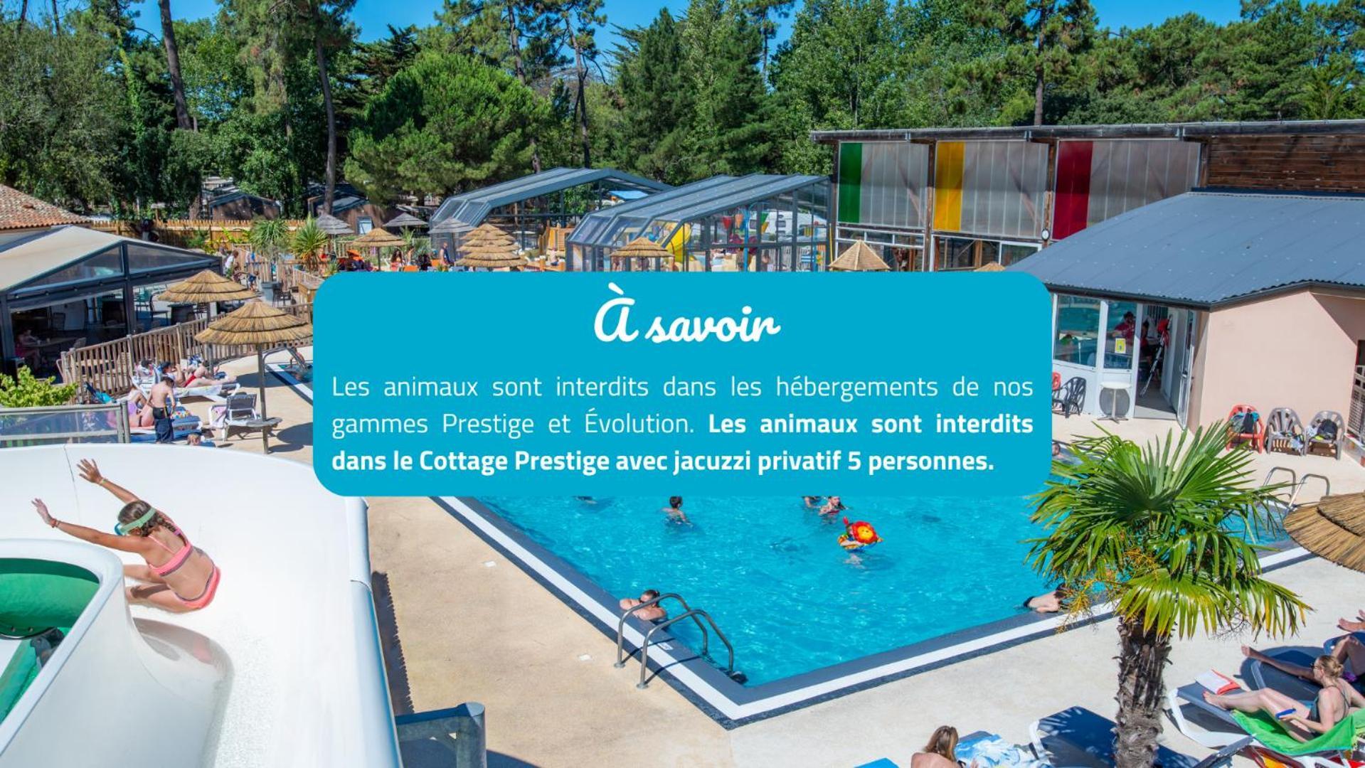 Camping Signol Boyardville Εξωτερικό φωτογραφία