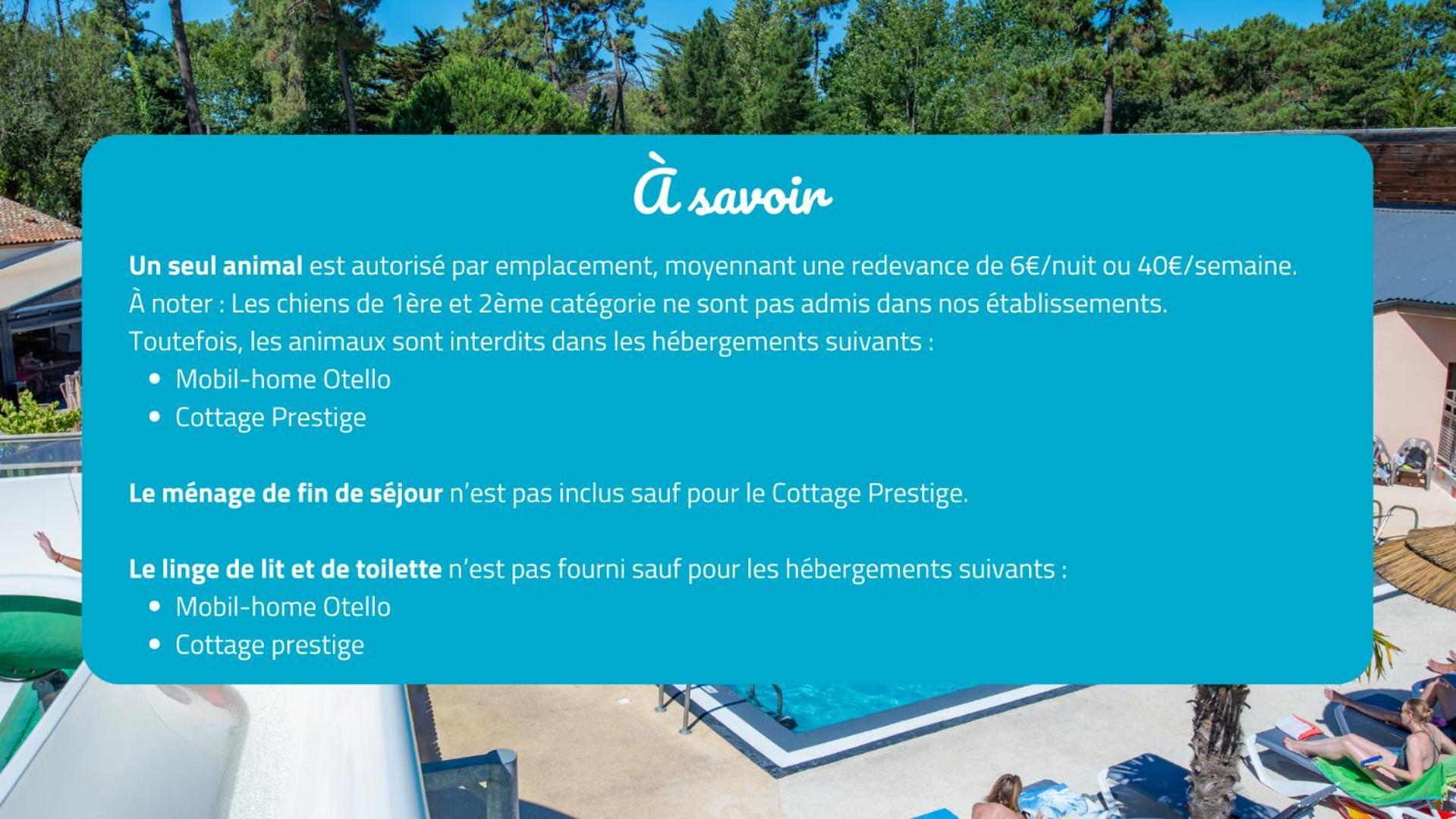 Camping Signol Boyardville Εξωτερικό φωτογραφία